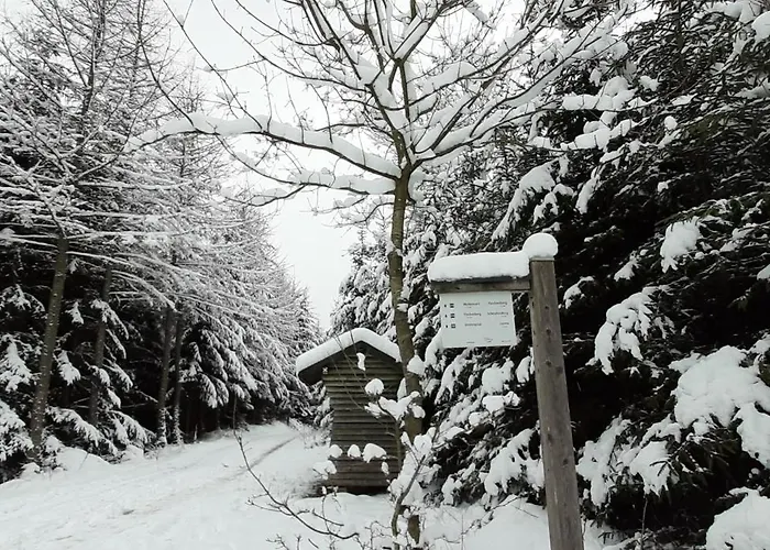 펜션 Schmallenberger *